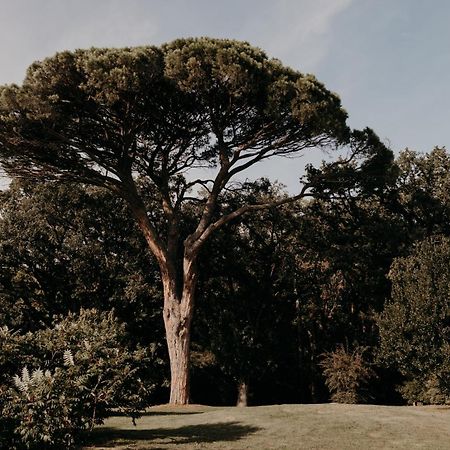 Domaine D'En Fargou Hotel Saint-Sulpice  ภายนอก รูปภาพ
