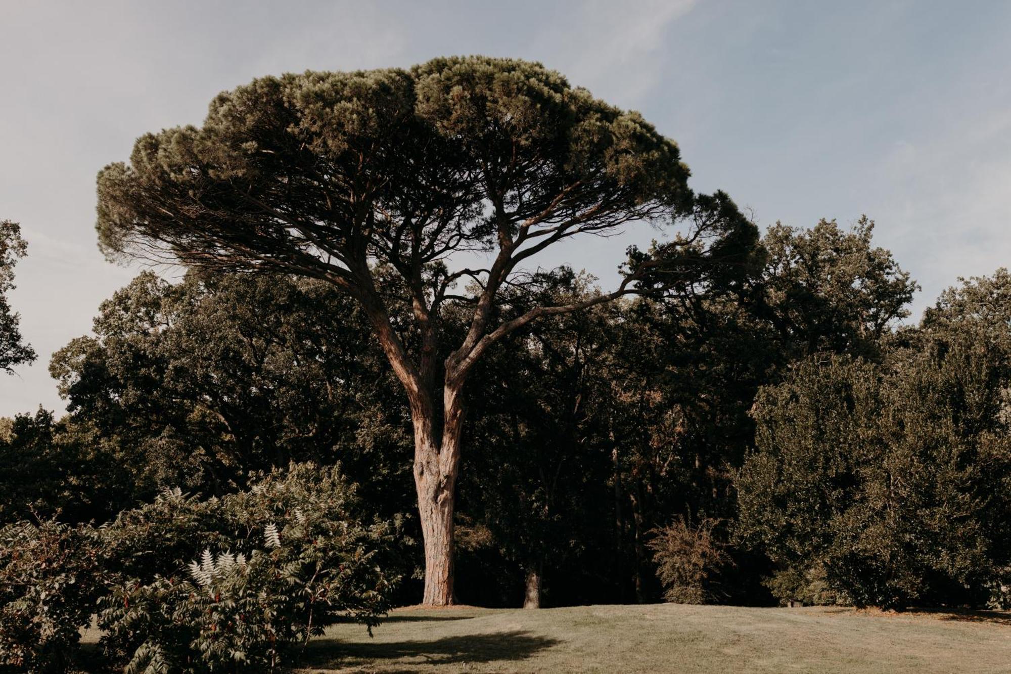 Domaine D'En Fargou Hotel Saint-Sulpice  ภายนอก รูปภาพ